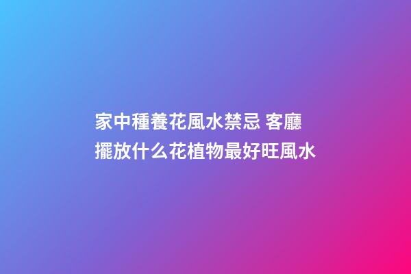 家中種養花風水禁忌 客廳擺放什么花植物最好旺風水